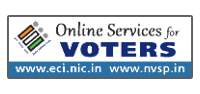 online voters